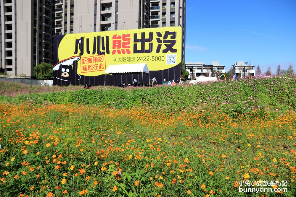 台中熊熊秘境》小心熊出沒！大毅建設微笑山丘波斯菊花海，超美花海小徑拍不膩～