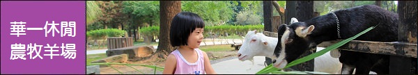 高雄景點》寶來花賞溫泉公園，群山包圍的足湯秘境，美人溫泉好滑嫩~