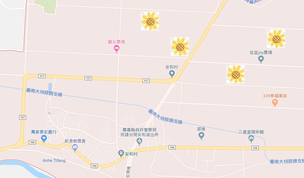 嘉義景點》新港安和村向日葵花海，超浮誇萬朵向日葵拍到不想回家～