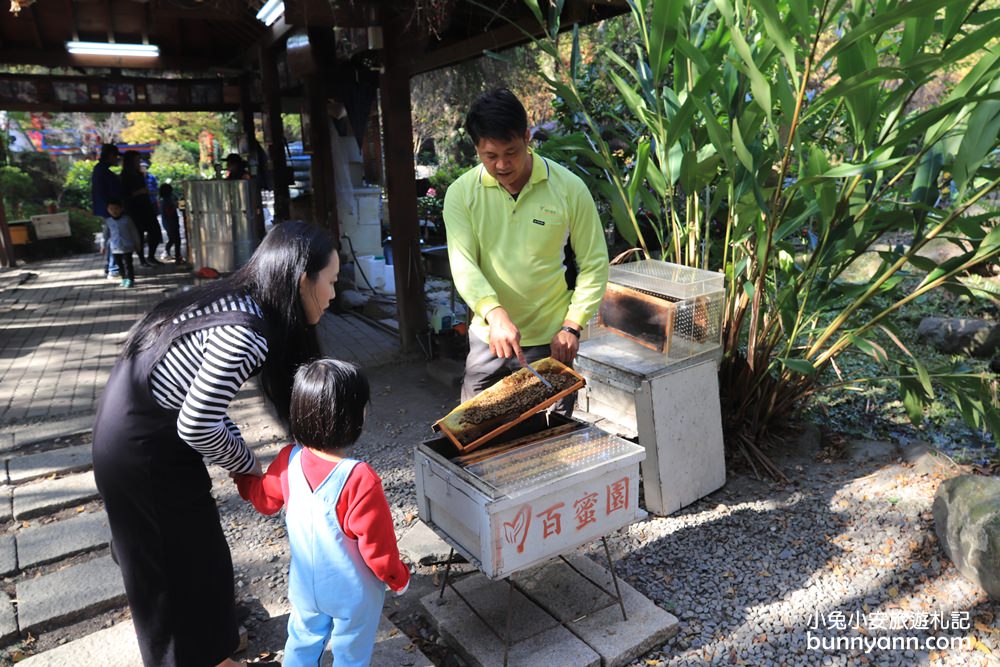 南投埔里台一生態休閒農場，2023門票與台一農場介紹整理