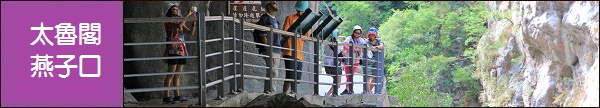 花蓮小店舖》小好美廚房，路邊攤藏著文青骨子，馬告焢肉飯美味上桌~
