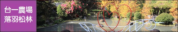 南投新景點》南投稅務出張所，蘿西家族妖怪小白宮、哈利波特書房超好拍～