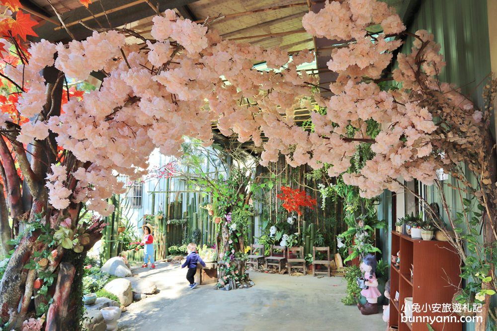 南投埔里多肉秘境中正店泡泡屋與地球(最新公告)