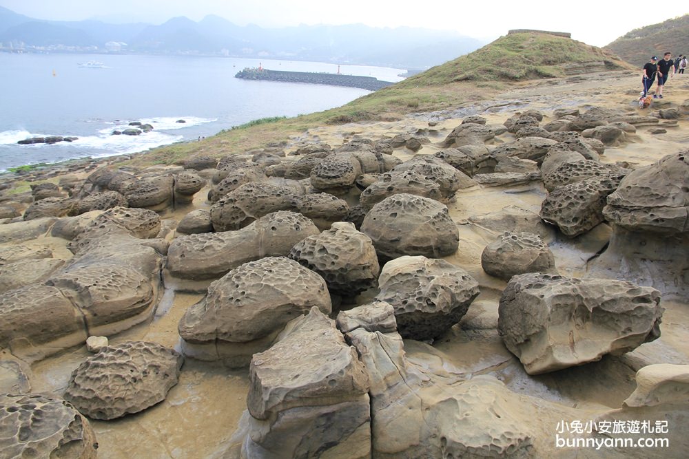 新北瑞芳象鼻岩奇景，深海古代巨象，停車資訊與路線