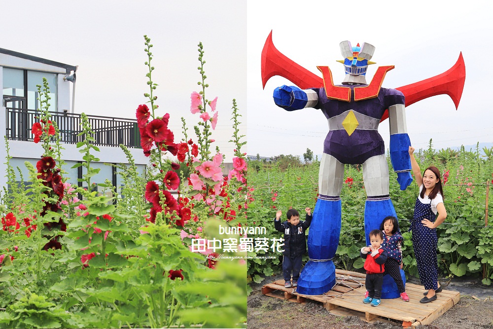 彰化景點》田中窯蜀葵花季，無敵鐵金剛、繽紛蜀葵花迷宮、手做陶藝DIY超好玩。