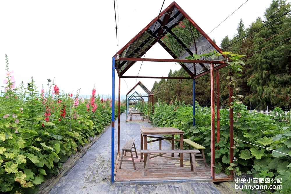 彰化景點》田中窯蜀葵花季，無敵鐵金剛、繽紛蜀葵花迷宮、手做陶藝DIY超好玩。