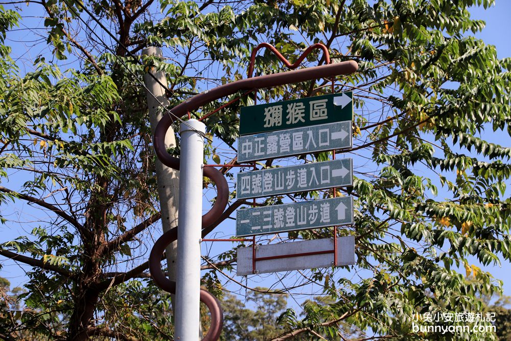 台中郭叔叔獼猴園｜可愛小猴子照鏡子，獼猴餵食秀超厲害