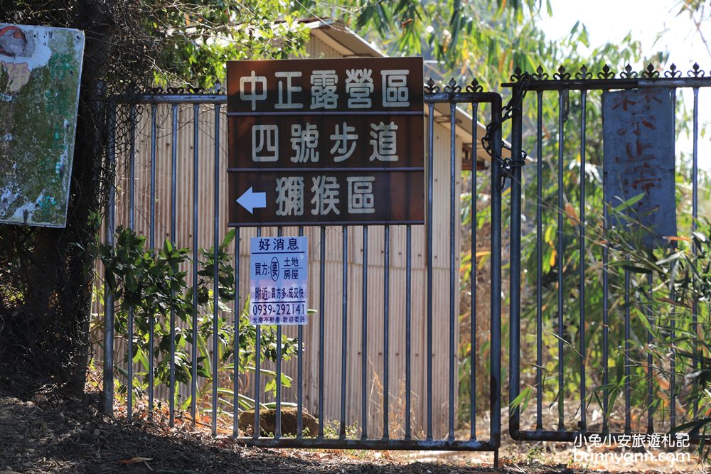 台中郭叔叔獼猴園｜可愛小猴子照鏡子，獼猴餵食秀超厲害