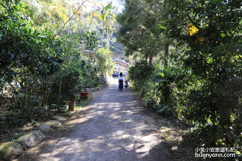台中郭叔叔獼猴園｜可愛小猴子照鏡子，獼猴餵食秀超厲害