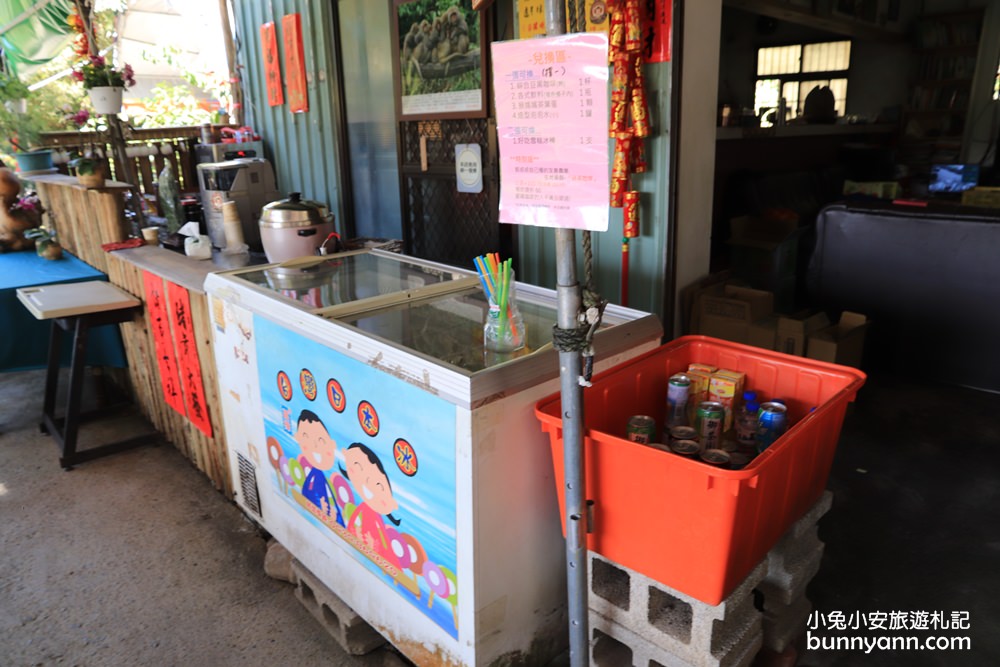 台中郭叔叔獼猴園｜可愛小猴子照鏡子，獼猴餵食秀超厲害