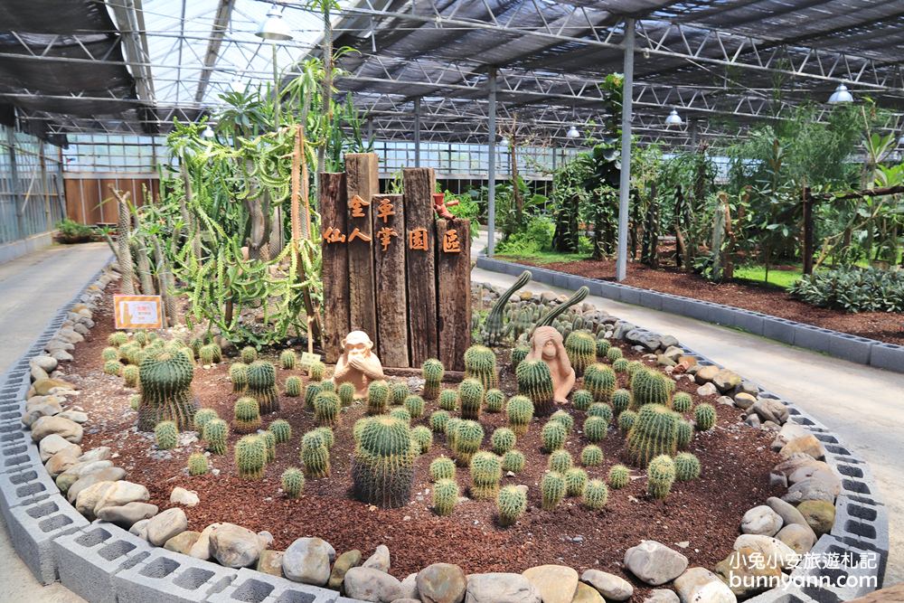 宜蘭金車礁溪蘭花園 ，賞蝴蝶蘭和餵水豚君，2024盤子門票費用介紹