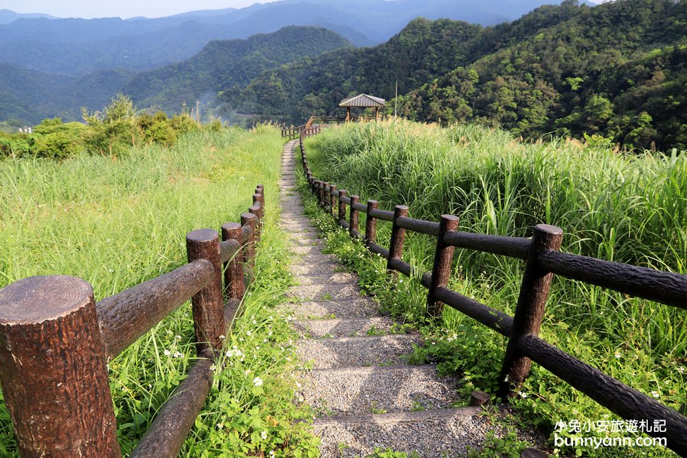 坪林南山寺仙公廟，獅公髻尾山步道眺望茶園與山嵐