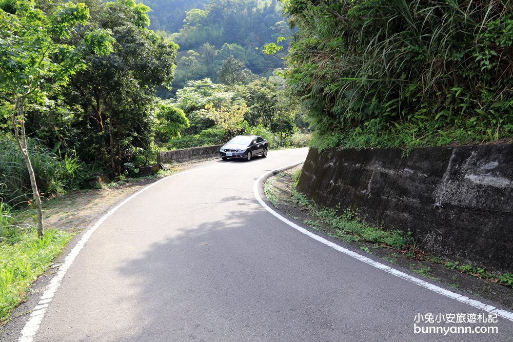 坪林南山寺仙公廟，獅公髻尾山步道眺望茶園與山嵐