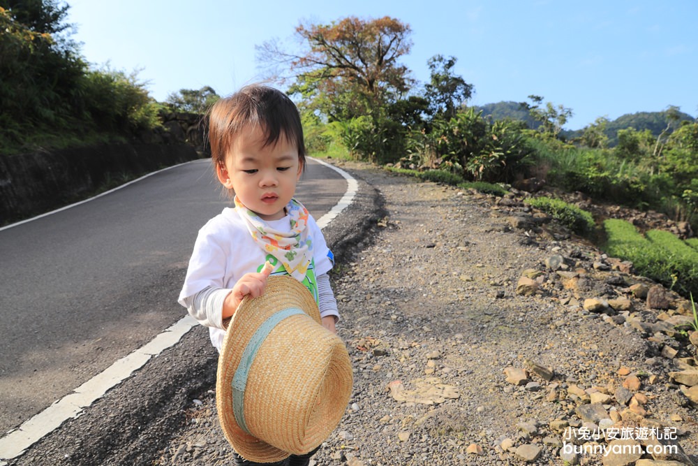 坪林南山寺仙公廟，獅公髻尾山步道眺望茶園與山嵐