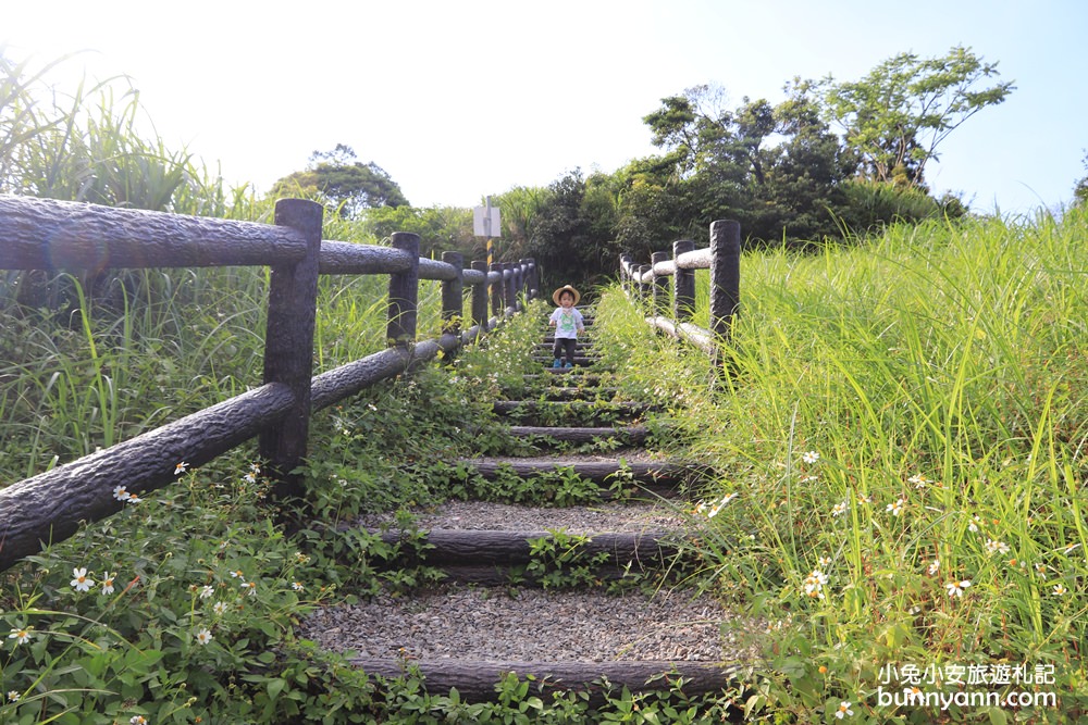坪林南山寺仙公廟，獅公髻尾山步道眺望茶園與山嵐