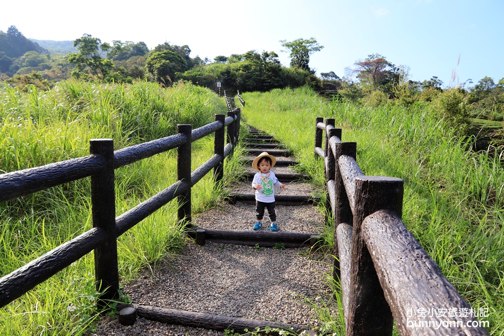 坪林南山寺仙公廟，獅公髻尾山步道眺望茶園與山嵐