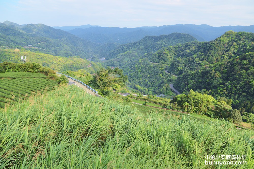 坪林南山寺仙公廟，獅公髻尾山步道眺望茶園與山嵐