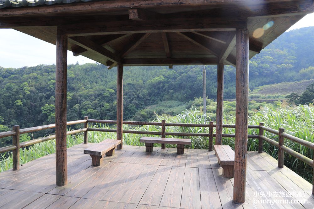 坪林南山寺仙公廟，獅公髻尾山步道眺望茶園與山嵐