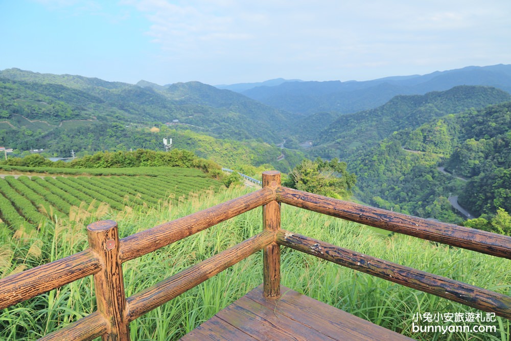 坪林南山寺仙公廟，獅公髻尾山步道眺望茶園與山嵐
