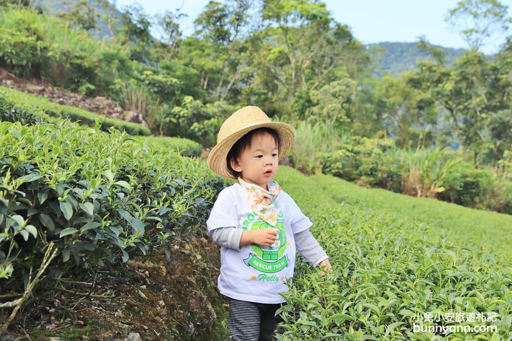 坪林南山寺仙公廟，獅公髻尾山步道眺望茶園與山嵐