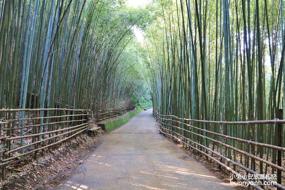 苗栗泰安》烏嘎彥竹林，台版小京都竹林，走進美麗嵐山竹林隧道(含路線)