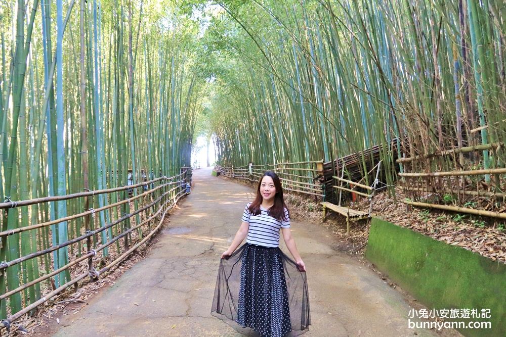 苗栗泰安》烏嘎彥竹林，台版小京都竹林，走進美麗嵐山竹林隧道(含路線)