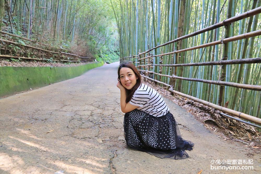 苗栗泰安》烏嘎彥竹林，台版小京都竹林，走進美麗嵐山竹林隧道(含路線)