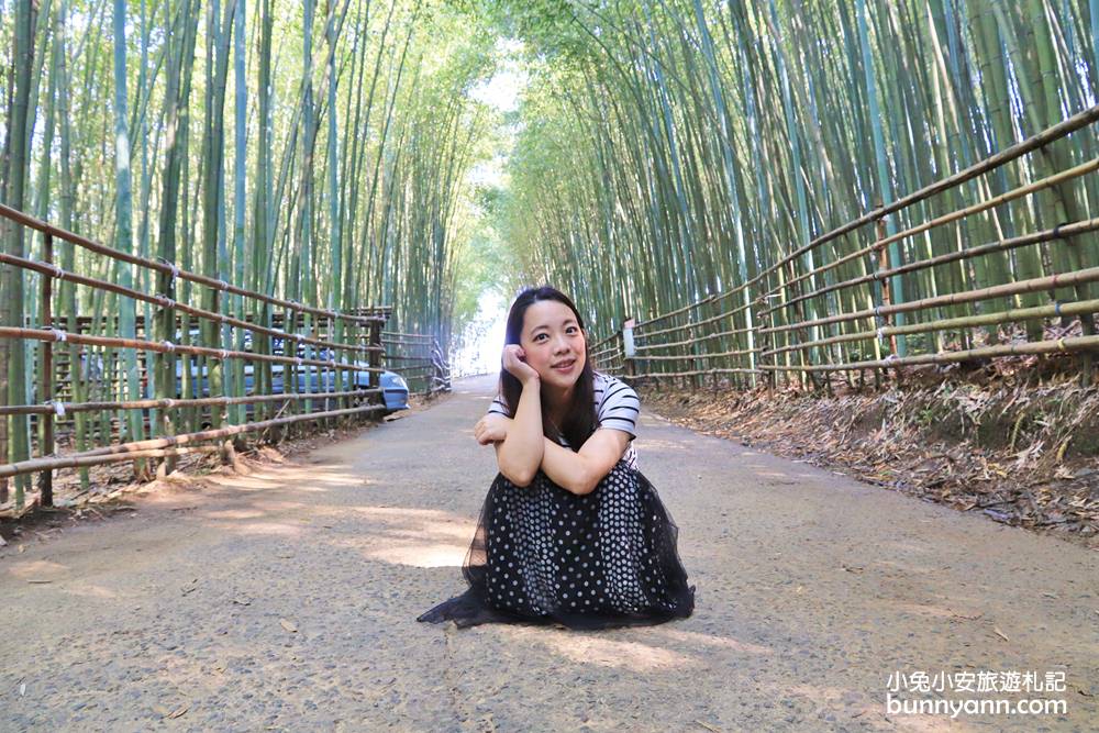 苗栗泰安》烏嘎彥竹林，台版小京都竹林，走進美麗嵐山竹林隧道(含路線)