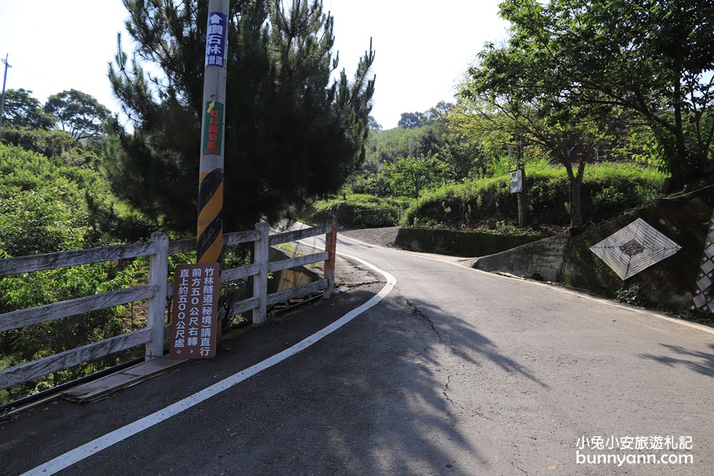 苗栗泰安》烏嘎彥竹林，台版小京都竹林，走進美麗嵐山竹林隧道(含路線)