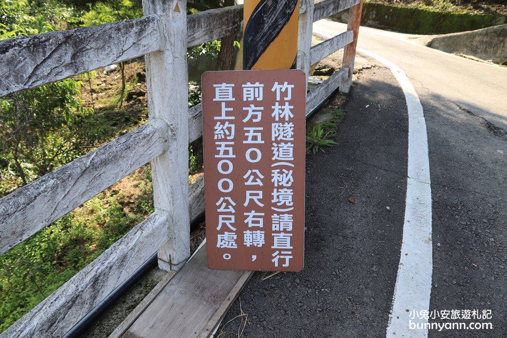 苗栗泰安》烏嘎彥竹林，台版小京都竹林，走進美麗嵐山竹林隧道(含路線)