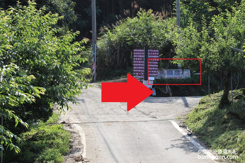 苗栗泰安》烏嘎彥竹林，台版小京都竹林，走進美麗嵐山竹林隧道(含路線)