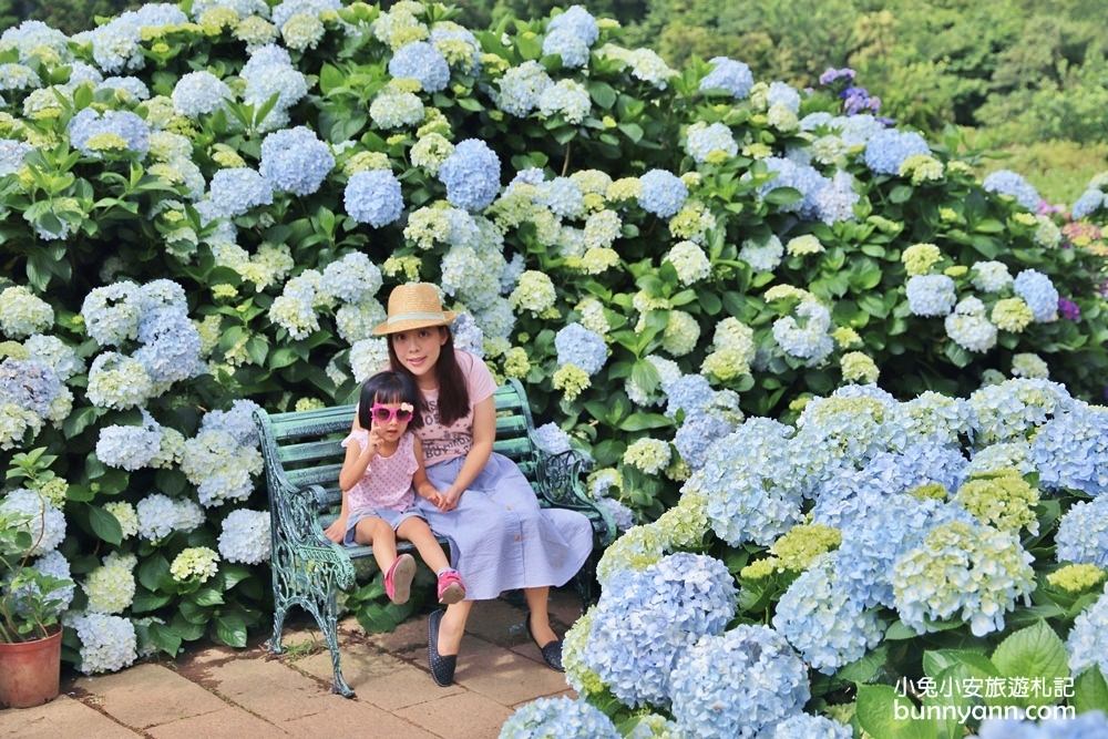 竹子湖「花與樹繡球花園」夢幻系繡球花仙境就在這了