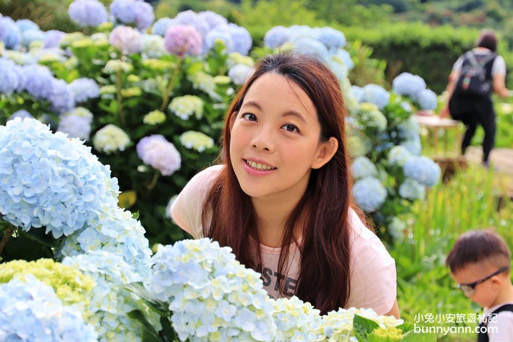 竹子湖「花與樹繡球花園」夢幻系繡球花仙境就在這了
