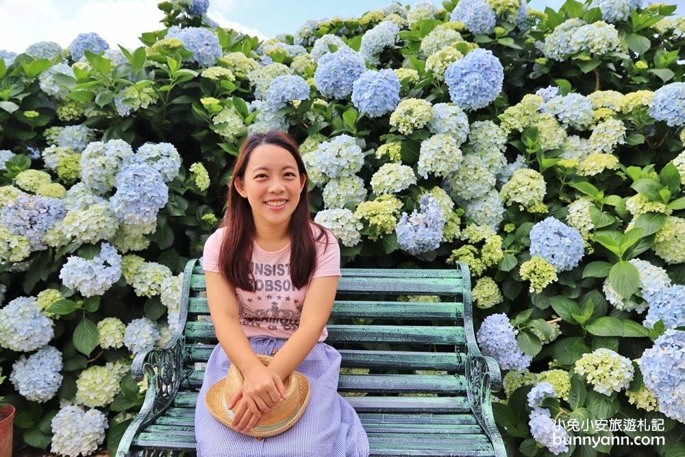 竹子湖「花與樹繡球花園」夢幻系繡球花仙境就在這了
