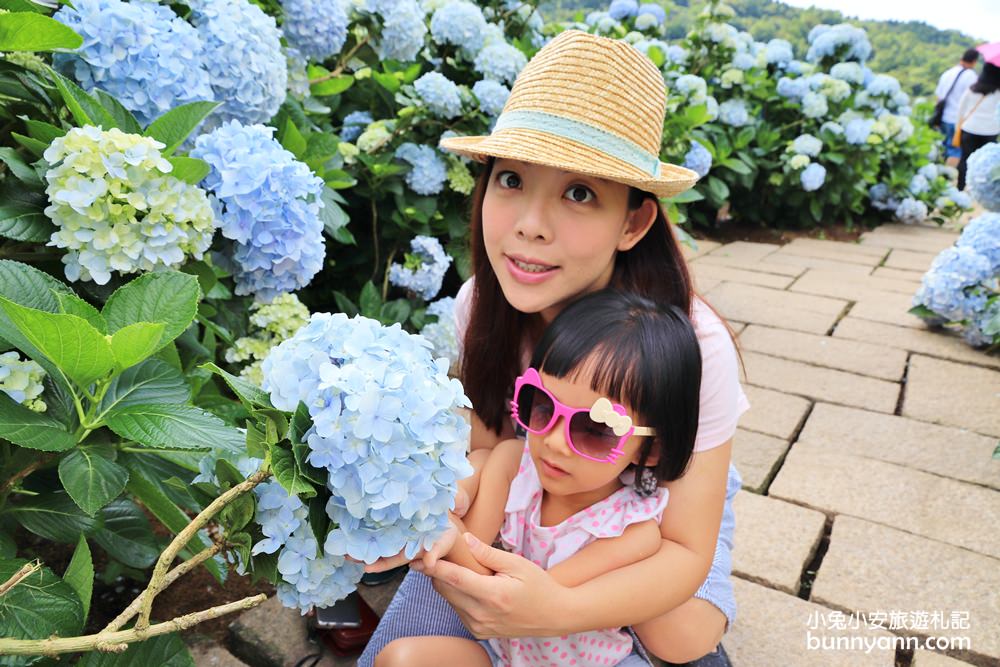 竹子湖「花與樹繡球花園」夢幻系繡球花仙境就在這了