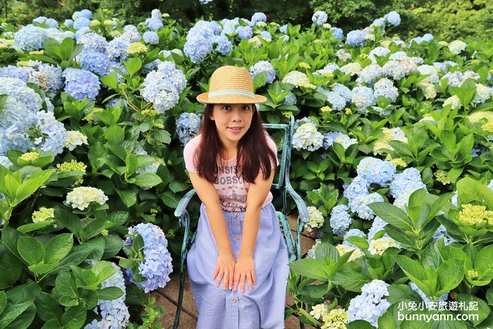 竹子湖「花與樹繡球花園」夢幻系繡球花仙境就在這了