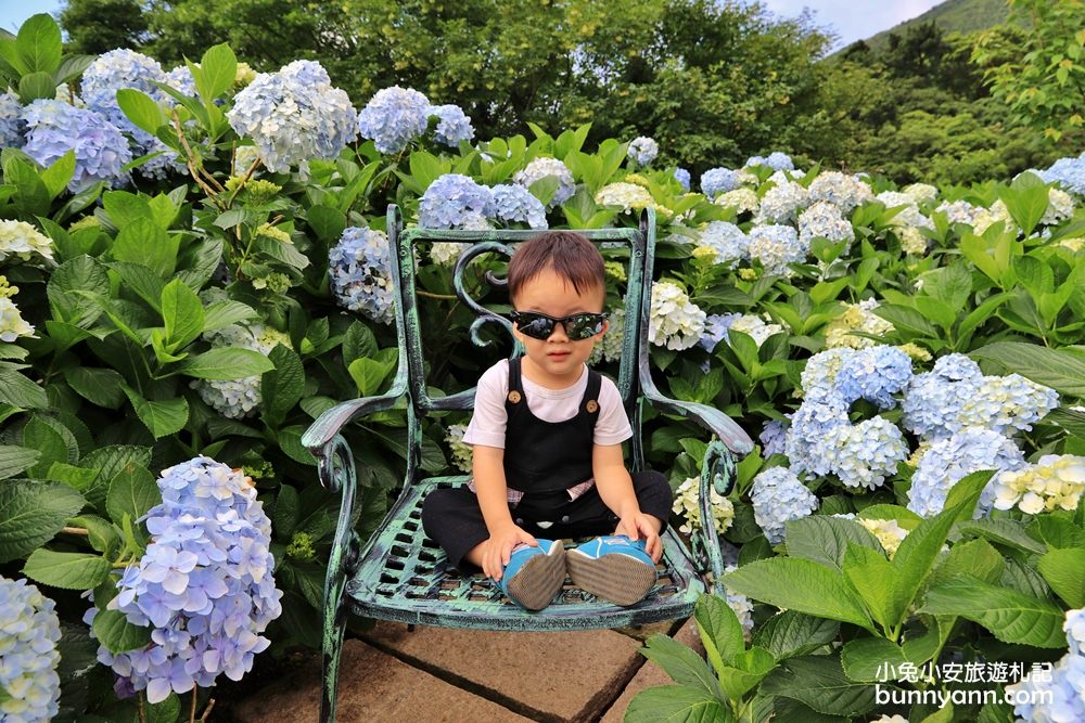 竹子湖「花與樹繡球花園」夢幻系繡球花仙境就在這了