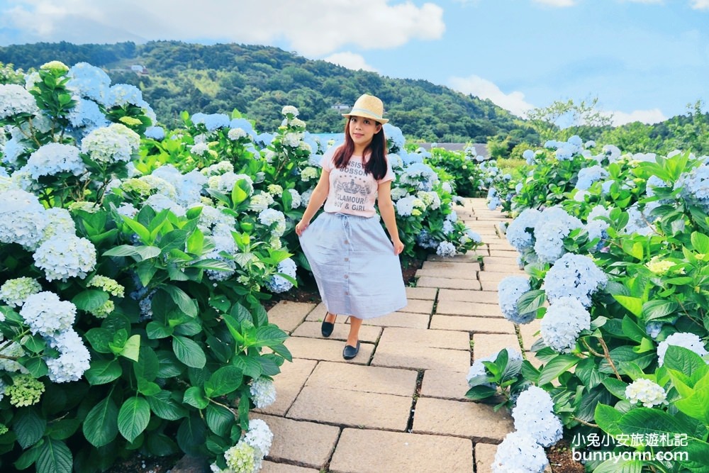 竹子湖「花與樹繡球花園」夢幻系繡球花仙境就在這了