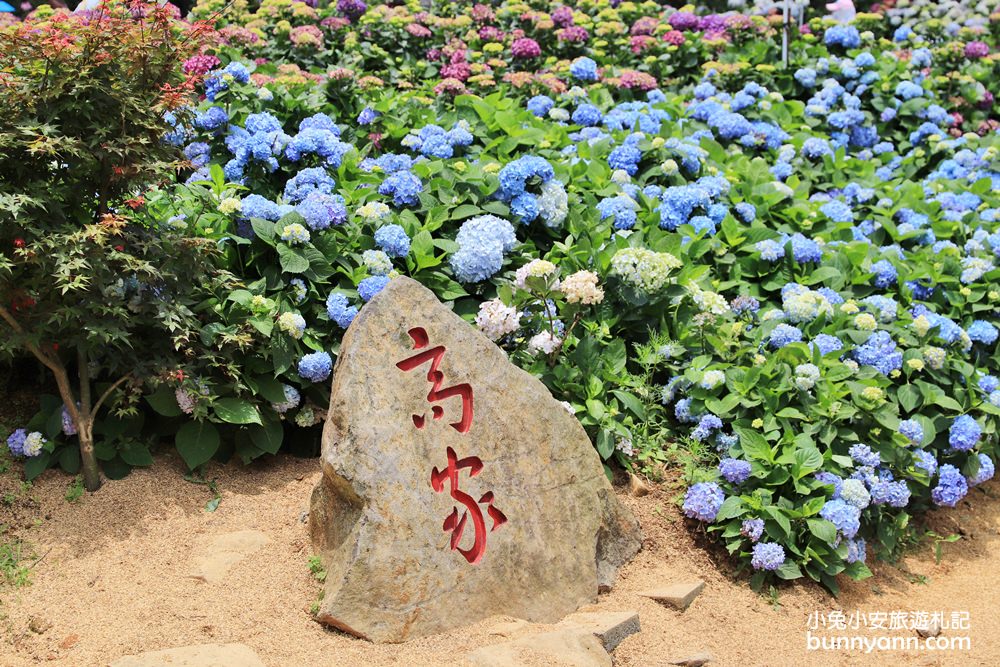 竹子湖「高家繡球花田水尾第二園區」賞花門票資訊分享
