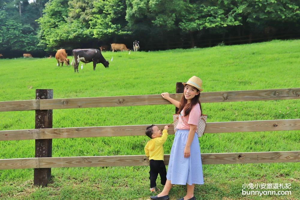 苗栗飛牛牧場｜親子同遊動物生態園區，鮮奶美食＋可愛乳牛一次玩透透！