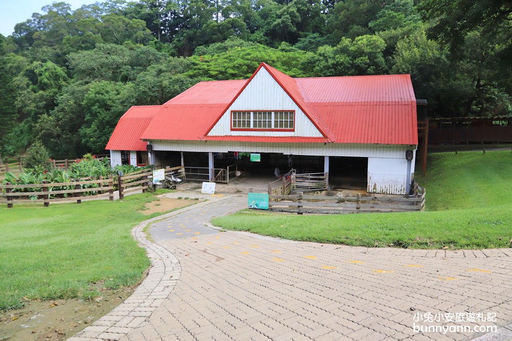 苗栗飛牛牧場｜親子同遊動物生態園區，鮮奶美食＋可愛乳牛一次玩透透！