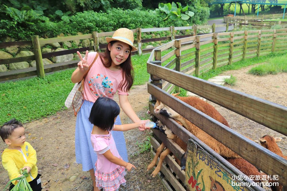 苗栗飛牛牧場｜親子同遊動物生態園區，鮮奶美食＋可愛乳牛一次玩透透！