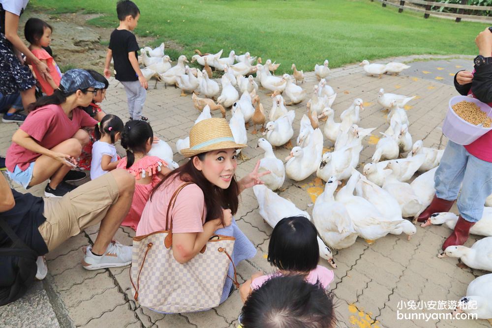 苗栗飛牛牧場｜親子同遊動物生態園區，鮮奶美食＋可愛乳牛一次玩透透！