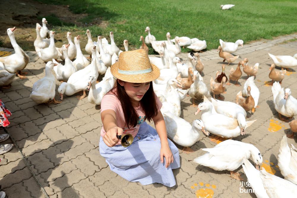 苗栗飛牛牧場｜親子同遊動物生態園區，鮮奶美食＋可愛乳牛一次玩透透！