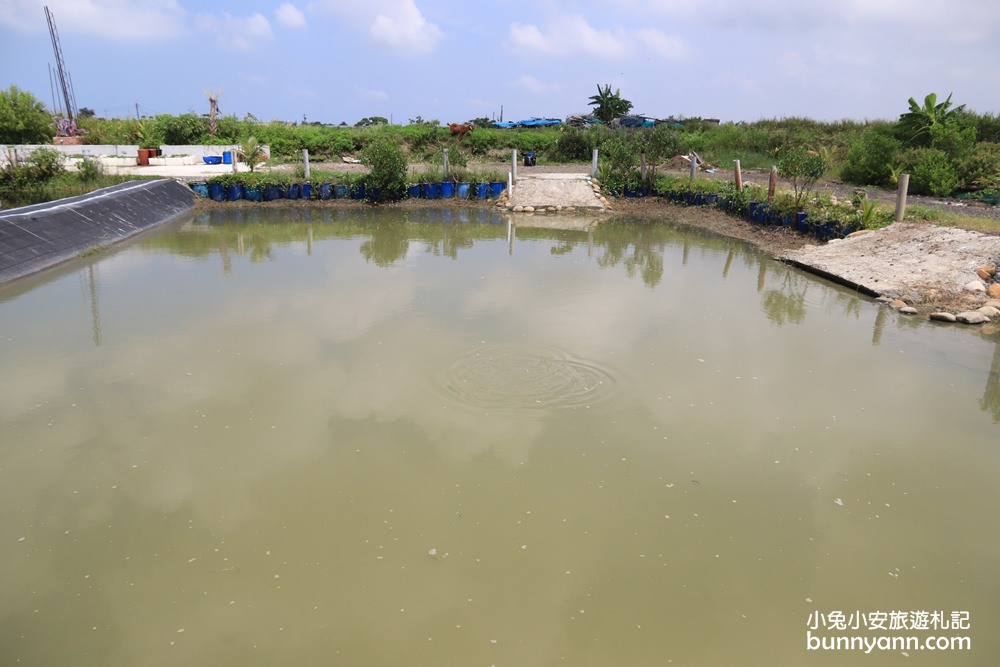 【向禾休閒漁場】到蔡牽海盜村玩釣魚、摸文蛤、烤蚵真精彩