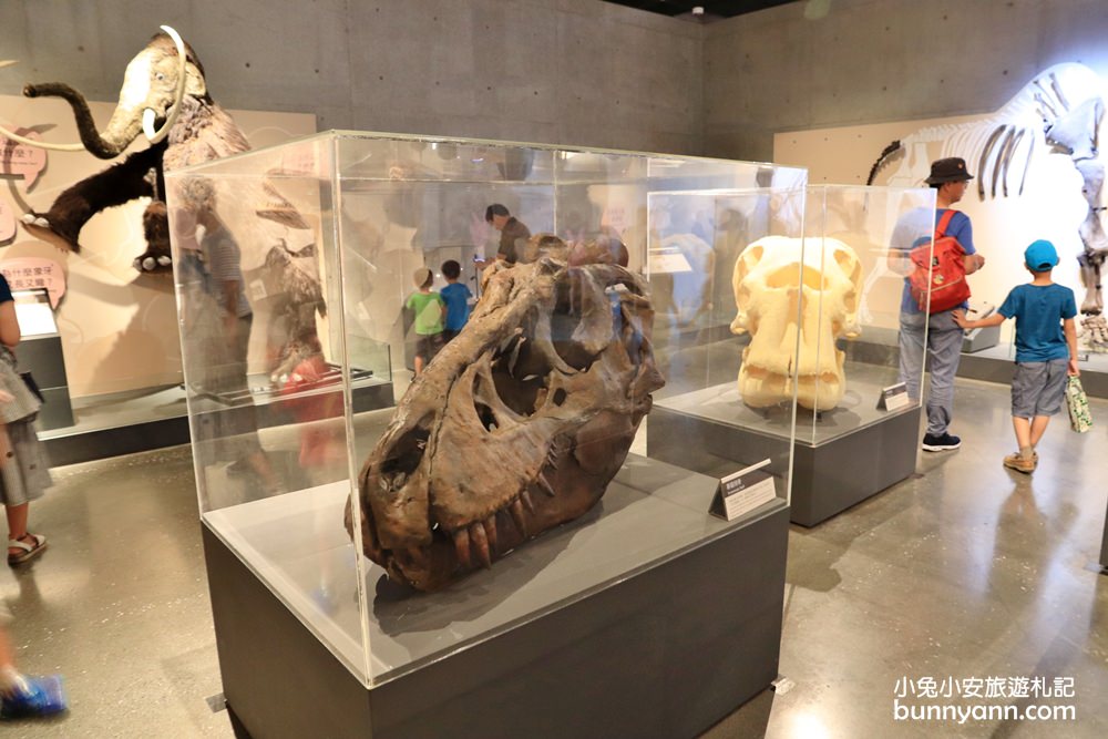 【臺南左鎮化石園區】全台第一座遠古化石博物館超好玩