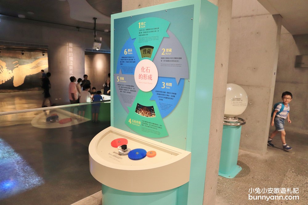 【臺南左鎮化石園區】全台第一座遠古化石博物館超好玩