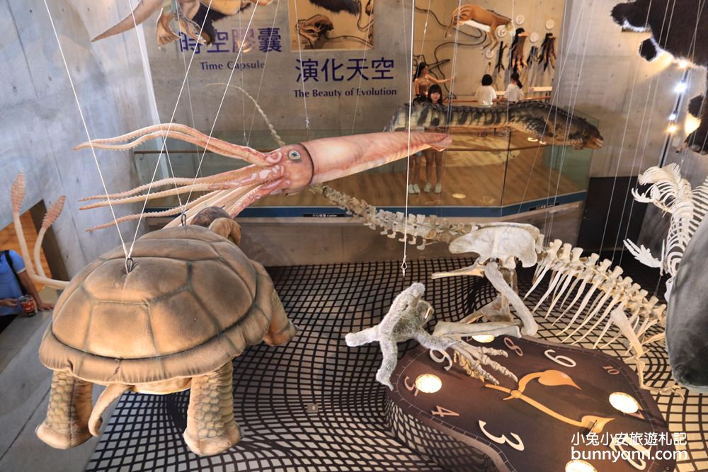 【臺南左鎮化石園區】全台第一座遠古化石博物館超好玩