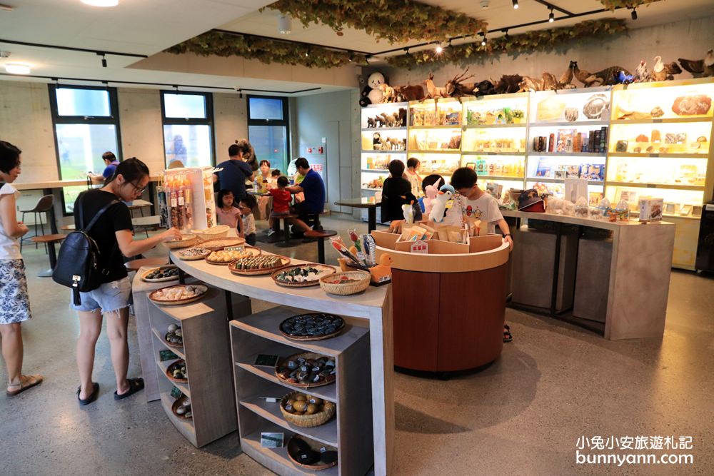 【臺南左鎮化石園區】全台第一座遠古化石博物館超好玩
