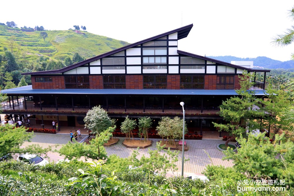 HOHOCHA喝喝茶